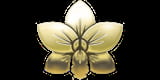 Royal Thai Orchid Restaurant